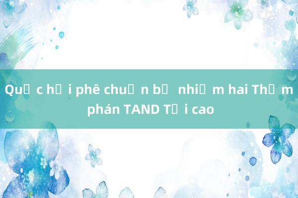 Quốc hội phê chuẩn bổ nhiệm hai Thẩm phán TAND Tối cao