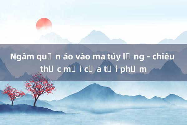 Ngâm quần áo vào ma túy lỏng - chiêu thức mới của tội phạm