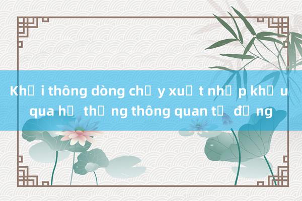 Khơi thông dòng chảy xuất nhập khẩu qua hệ thống thông quan tự động