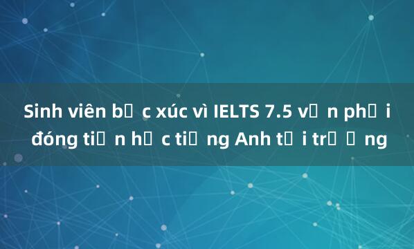 Sinh viên bức xúc vì IELTS 7.5 vẫn phải đóng tiền học tiếng Anh tại trường