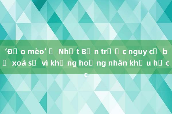 ‘Đảo mèo’ ở Nhật Bản trước nguy cơ bị xoá sổ vì khủng hoảng nhân khẩu học